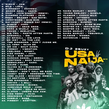 DJ 2Busy USA vs Naija mix BACK COVER